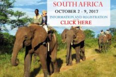 Post Your Experience Here South Africa - Travel-O-Ganza