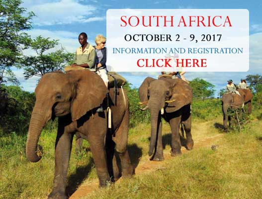 South Africa - Travel-O-Ganza