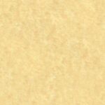 A textured beige parchment or paper background.
