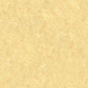 A textured beige parchment or paper background.