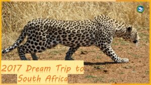 A poster for a South Africa trip