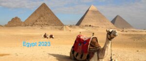 The Giza Necropolis with camels